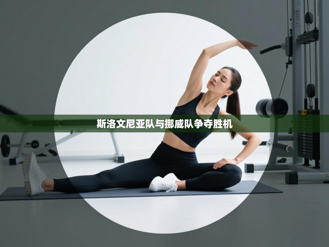 斯洛文尼亚队与挪威队争夺胜机 第1张